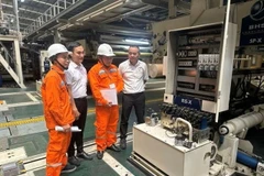 Des ingénieurs d'EVN inspectent des équipements électriques dans une usine de Hanoï. Photo VNA