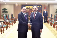 Le vice-Premier ministre et ministre vietnamien de la Défense, Phan Văn Giang. Photo : baochinhphu.vn