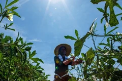 Photo: The Edge Singapore