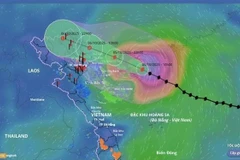 Le typhon Matmo, onzième tempête en Mer Orientale, devrait frapper Quang Ninh dans la nuit du 5 octobre. Photo : Screenshot