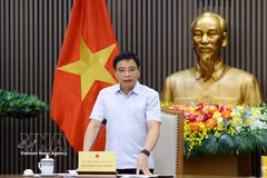 Le vice-Premier ministre Nguyen Van Thang s'exprime à la réunion. Photo: VNA