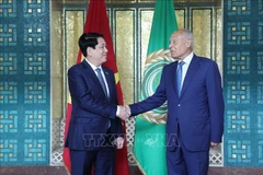 Le président de la République, Luong Cuong (gauche) et le secrétaire général de la LA, Ahmed Aboul Gheit. Photo : VNA