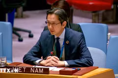 L'ambassadeur Do Hung Viet, représentant permanent du Vietnam auprès des Nations Unies. Photo : VNA
