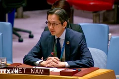 L'ambassadeur Do Hung Viet, représentant permanent du Vietnam auprès des Nations Unies. Photo : VNA