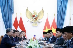 Lors de l'entretien entre Tô Lâm et Prabowo Subianto. Photo : VNA