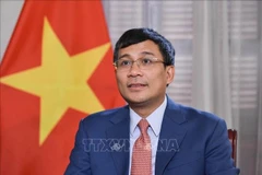 Le vice-ministre permanent des Affaires étrangères du Vietnam, Nguyen Minh Vu. Photo : VNA