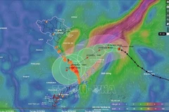 Dans les 24 heures à venir, le typhon devrait se déplacer vers le nord-ouest, se renforçant jusqu’à la force 11, rafales de 13. Photo : VNA