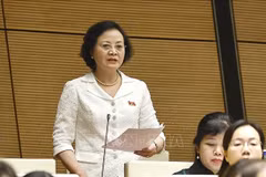 La vice-Première ministre Pham Thi Thanh Tra. Photo : VNA