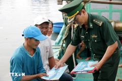 Dông Thap organise des opérations intensives de contrôle, d’enquête et de sanction contre les infractions IUU. Photo : VNA