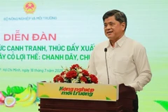 Le vice-ministre de l'Agriculture et de l'Environnement, Tran Thanh Nam. Photo : VNA