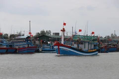 Les pêcheurs de Quang Ngai construisent et modernisent leurs navires afin de restructurer la flotte vers un modèle plus moderne. Photo : VNA