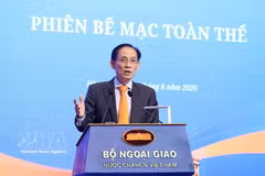 Le ministre des Affaires étrangères, Le Hoai Trung. Photo : VNA