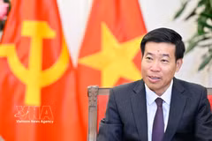 Le vice-ministre des Affaires étrangères, Le Manh Cuong. Photo : VNA