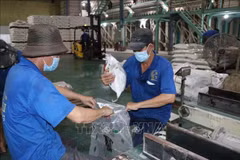 Les ouvriers de la société Phuoc Thanh II Co., Ltd. emballent du riz destiné à l'exportation. Photo : VNA
