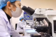 Activités de recherche scientifique à l’Hôpital national d’endocrinologie. Photo d’illustration : VNA
