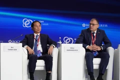 Le vice-Premier ministre Bui Thanh Son lors du forum. Photo : VNA