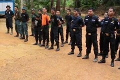 L'Indonésie renforce la protection de ses parcs nationaux