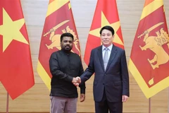 Le président vietnamien Luong Cuong (droite) et son homologue sri-lankais Anura Kumara Disanayaka. Photo : VNA