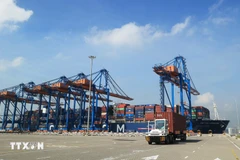 Des camions de conteneurs au port international de Gemalink, au sein du complexe portuaire de Cai Mep (quartier de Tân Phuoc). Photo : VNA
