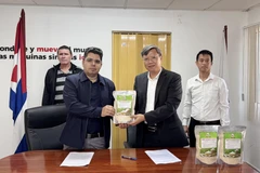 Des représentants du gouvernement vietnamien et de l’entreprise rizicole AgriVMA ont remis 250 tonnes de riz au titre d’une aide non remboursable destinée à la partie cubaine. Photo : VNA
