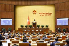 Lors d'une session de l'Assemblée nationale. Photo : VNA