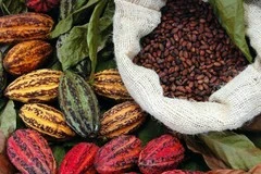 Indonésie et États-Unis envisagent un accord sur les exemptions tarifaires pour l'huile de palme et le café