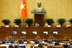 La vice-présidente de l’Assemblée nationale, Nguyen Thi Thanh, dirige la séance. Photo : VNA