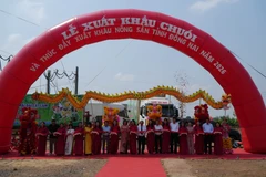 Cérémonie marquant l’exportation de bananes et la promotion des produits agricoles locaux pour l’année 2026. Photo : VNA