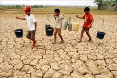  L'Indonésie adopte des mesures drastiques face à un puissant phénomène El Niño