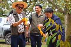 La Thaïlande renforce le contrôle qualité du durian