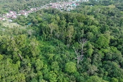 Cette photo aérienne, prise le 14 février 2025, montre les zones forestières qui entourent un village de Sigi, dans la province de Sulawesi central. (Photo d'illustration : Antara News)