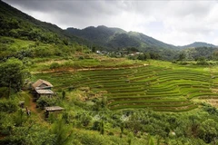 Au milieu des montagnes majestueuses du Nord-Ouest vietnamien, le hameau de Mung s’impose progressivement comme une nouvelle destination phare du tourisme communautaire. Photo : VNA