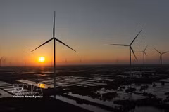Un parc éolien dans la province de Cà Mau. Photo : VNA