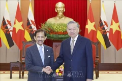 Le secrétaire général du Parti communiste du Vietnam, To Lam, (droite) et le Sultan de Brunei, Haji Hassanal Bolkiah, en visite d'État au Vietnam. Photo : VNA