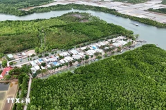 Zone résidentielle concentrée au milieu de l'écosystème de mangrove sur le hameau de l'île de Thieng Lieng. Photo : VNA