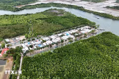 Zone résidentielle concentrée au milieu de l'écosystème de mangrove sur le hameau de l'île de Thieng Lieng. Photo : VNA