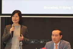 Nguyễn Thanh Phương a pris la parole lors d'une table ronde réunissant des experts et intellectuels vietnamiens de Belgique et du Luxembourg. L'événement, organisé le 19 janvier à Bruxelles, axé sur la promotion de la coopération en matière d'innovation et de transformation, a permis de discuter des opportunités de collaboration entre le Vietnam et l’Union européenne. Photo : VNA