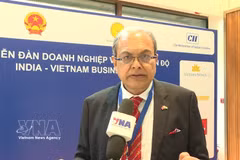 Le président de la Chambre de commerce Inde-Vietnam (IVCCI), Ajoykaant Ruia. Photo ; VNA