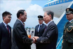 Le vice-président de l'Assemblée nationale, Tran Quang Phuong (à gauche), accueille le président du Comité permanent de l'Assemblée populaire nationale (APN) de Chine, Zhao Leji, à l'aéroport. (Photo : VNA)