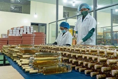 La société à responsabilité limitée Triêt Minh investit dans la modernisation de ses chaînes de production et l’application de technologies modernes. Photo : VNA