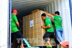 Premier lot de sucre de coco biologique OCOP de Tra Vinh exporté aux États-Unis. Photo ; VNA