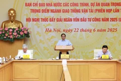 Le Premier ministre Pham Minh Chinh préside la téléconférence nationale le 22 juin. (Photo : VNA)