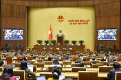 Panorama de la session. Photo : VNA