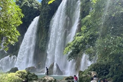 La cascade de Ban Gioc (commune de Dam Thuy, district de Trung Khanh) accueille plus de 133 000 touristes. Photo : VNA