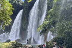 La cascade de Ban Gioc (commune de Dam Thuy, district de Trung Khanh) accueille plus de 133 000 touristes. Photo : VNA