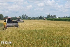 Photo d'illustration : VNA