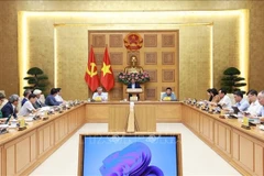 Le Premier ministre Pham Minh Chinh travaille avec le Conseil de recherche pour le développement économique privé. Photo : VNA 