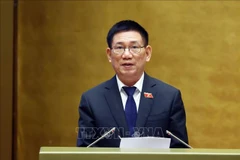 Le vice-Premier ministre Ho Duc Phoc. Photo : VNA