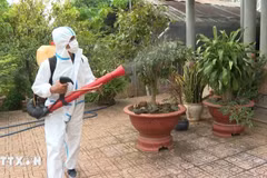 Un ouvrier fumige une zone résidentielle. (Photo : VNA)