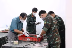 Les opérations d’exhumation et de rapatriement des restes des soldats tombés pour la Patrie, ainsi que d’identification de leurs dépouilles, sont menées conformément aux procédures et réglementations en vigueur. (Photo : VNA)